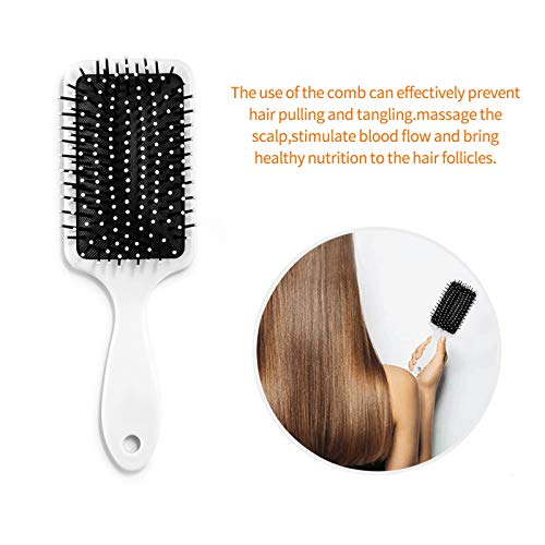 Dinosaur Cute Boys Anti-Static Toddler Comb Hair Brush with Air Cushion Detangler for Adults & Kids