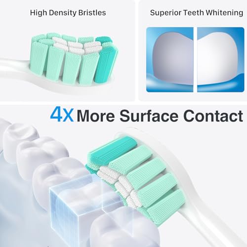 Replacement Toothbrush Heads for Philips Sonicare Replacement Heads,Electric Replacement Brush Head Compatible with Phillips Sonicare Electric Toothbrush C2,C1,4100,for Philips Sonic Care Brush,6 Pcs