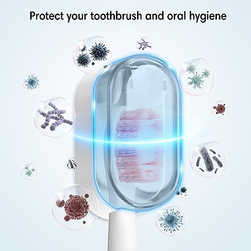 BALUCA 3 PCS Travel Toothbrush Head Covers Caps, Tooth Brush Protector Case Wall Mounted Hanging Rack Organizer for Travel, Camping, Bathroom, School, Business (White)