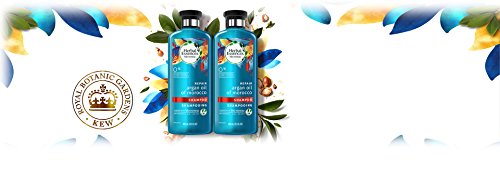 Herbal Essences Argan Oil of Morocco Shampoo for Color Treated Hair, Treatment for Damaged Hair, Paraben Free, BioRenew, 13.5 FL OZ (Pack of 2)