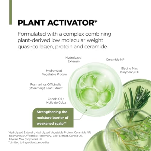 AMOS PROFESSIONAL Botanic Calm Activating Shampoo l Vegan Scalp & Hair Strengthening Shampoo with Rosemary and Biotin, Sulfate Free, 5.9 fl.oz