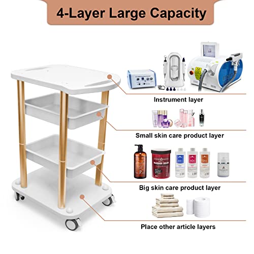 Beauty Salon Trolley Spa Styling Pedestal Rolling Cart Two Shelf ABS Aluminum Elitzia ETTROLLEY5 (Gold cart)