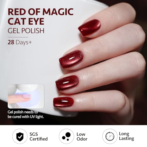 GAOY Jelly Red Glitter Cat Eye Gel Nail Polish Set with Magnet 6 Types of Holographic Cat Eye, Salon Gel Manicure and Nail Art DIY at Home