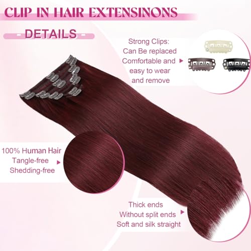 Clip in Hair Extensions Real Human Hair, Red Wine Remy Human Hair Extensions Clip ins for Women, 100% Natural Human Hair, Double Weftm, 24inch 120g 8Pcs, #99J Burgundy