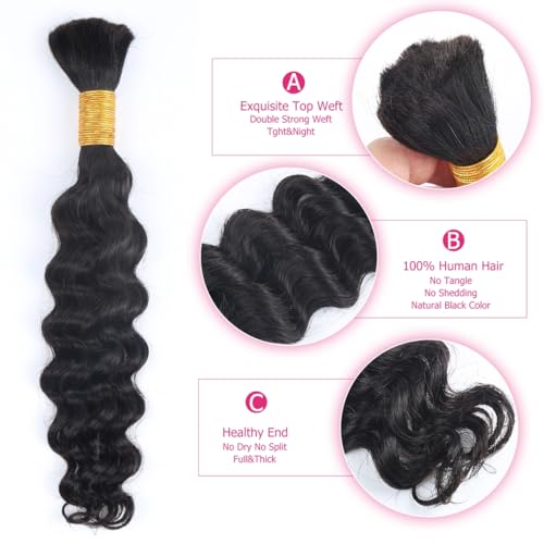 Odir 14 Inch Deep Wave Bulk Human Hair for Braiding No Weft 100% Unprocessed Brazilian Curly Braiding Human Hair Extensions Wet and Wavy Human Braiding Hair for Boho Braids 2 Bundles 100g
