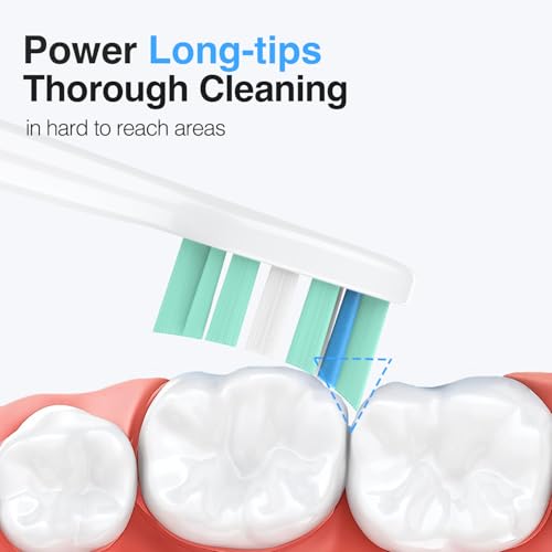 Toothbrush Heads for Philips Sonicare Replacement Heads G2,C1,4100,C2,Electric Replacement Brush Head Compatible with Phillips Sonicare Brush G2,C2,C1,for Philips Sonic Care Toothbrush,6 Pcs