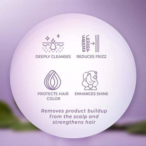 Purple Shampoo and Conditioner Set - Sulfate Free, Enriched with Coconut Oil & Aloe Vera, Ideal for Blonde, Gray, Brassy & Color Treated Hair, Nourishes & Hydrates - 16 fl oz each