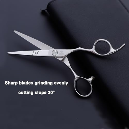 Hair Cutting Scissors and Thinning Scissors Kit,6.5 inch Professional Salon Haircut Scissors Kit,Barber Hairdressing Shears Set,Hair Cutting Shears Texturizing Shears (Silver) (Silver)