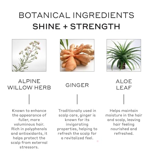 Zenagen Evolve Repair + Protect Nourishing Conditioner (Unisex) | Hydrates & Repairs Damaged Hair, Promotes Thicker Fuller Hair, Plant-Based, Color-Safe, Vegan, All Hair Types