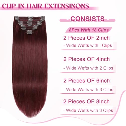 Clip in Hair Extensions Real Human Hair, Red Wine Remy Human Hair Extensions Clip ins for Women, 100% Natural Human Hair, Double Weftm, 24inch 120g 8Pcs, #99J Burgundy