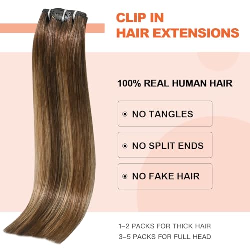 Balayage Hair Extensions Real Human Hair, Ombre Medium Brown Fading to Caramel Blonde 20 inches 120g Highlights 100% Human Hair Natural Straight Woman Beauty Clip ins #4/27/4