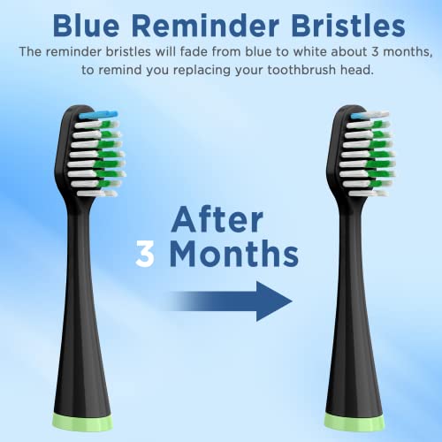 Replacement Brush Heads for AquaSonic Duo Series & Home Dental Center Sonic Electric Toothbrush, 10 Count with Travel Covers, Black and White