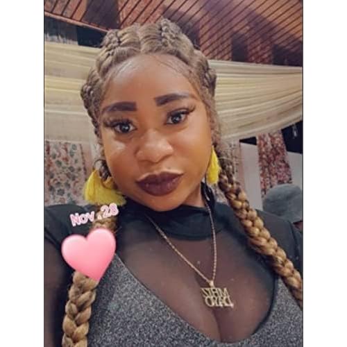 4 Twist Lace Front Braid Wig Nature Looking with Baby Hair Synthetic Wigs Hand Tied Heat Resistant Fiber 4 Braided Daily Wear Wigs for Women 30 Inches (Brown)