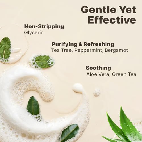 Beauty by Earth Foaming Face Wash Cleanser ? Natural & Organic Ingredients, Vegan Facial Wash, Gentle Daily Cleanser for Sensitive, Oily & Acne Prone Skin, Made in USA