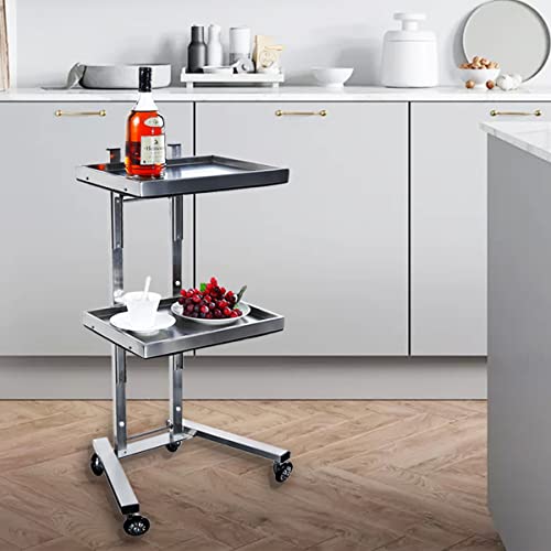 Generic Stainless Steel Salon Tray on Wheels for Tattoo Medical Dental,Rolling Tray Salon Trolley Beauty Hair Lash Cart Mayo Stand (Silver)