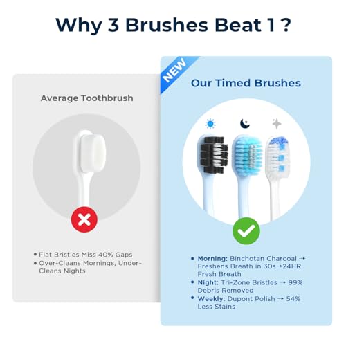 Soft Toothbrushes for Morning Freshness & Night Cleanliness -10000+ Soft Bristle Toothbrush for Sensitive Gums|Medium Toothbrushes for Deep Plaque Removal, Daily Clean & Weekly Brightening