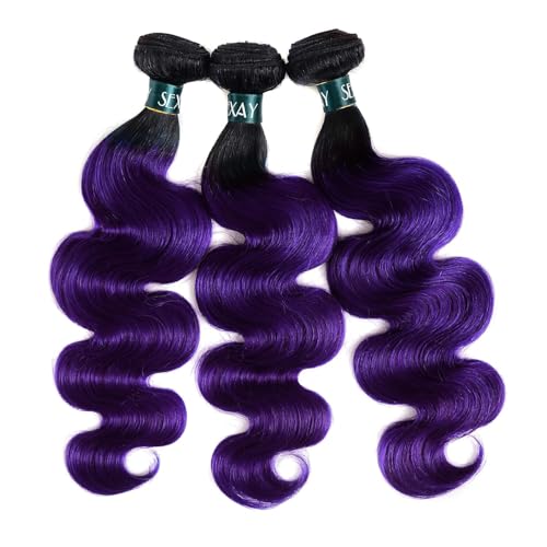 Purple Ombre Bundles with Closure Body Wave Human Hair Weave, Brazilian 3Bundles with Free Closure Virgin Remy Hair Ombre 1b/purple 2 Tone Wavy for Women (141618+12"closure, 1b/Purple)