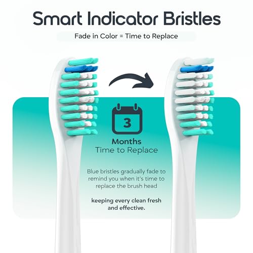 Replacement Toothbrush Heads, Compatible with Philips Sonicare Click-on Toothbrush Handles, 8 Standard Heads, Extra Soft Dupont Bristles for Sensitive Teeth, White