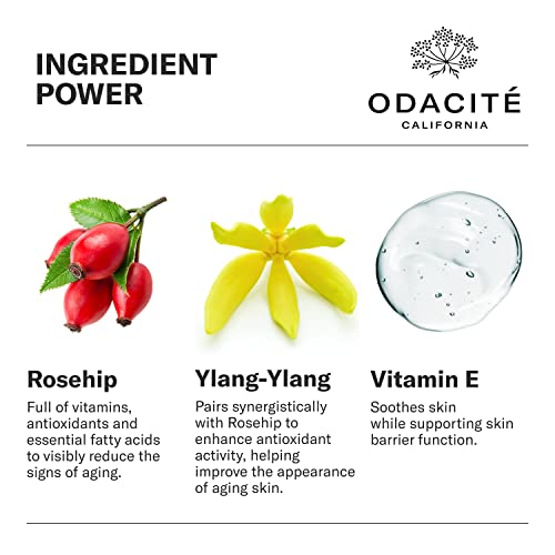 Odacit? Anti Aging Serum Concentrate with Rosehip + Ylang-Ylang - Lightweight Facial Serum For Mature Skin, Fine Lines, Nourishes for Look of Plump, Youthful Skin - 0.17 Fl. Oz