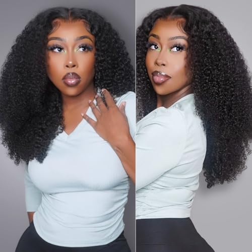 13x6 Afro Curly Lace Front Wigs - Human Hair, 200% Density, Transparent Frontal, Pre Plucked, Knots Bleached, Black, 22 Inch