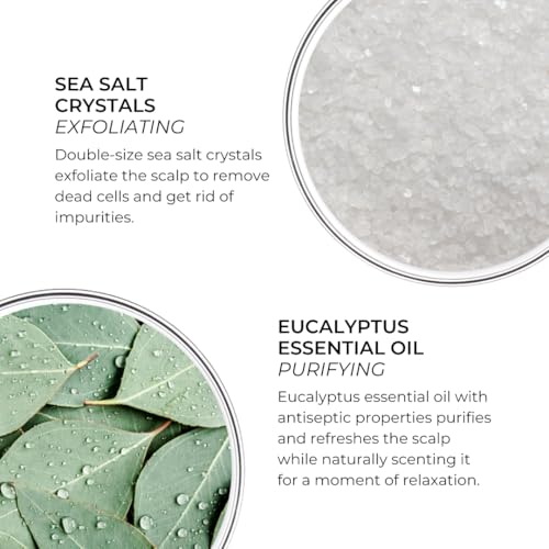 PHYTO SCALP SOLUTIONS Purifying Cleansing Scrub ? Exfoliating Sea Salt & Eucalyptus Scalp Detox ? Silicone & Sulfate-Free ? Refreshes & Balances Oily Scalp ? 7.05 oz