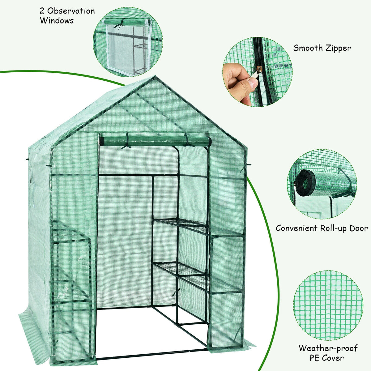 56 x 77 Inch Walk-in Greenhouse with Observation Windows