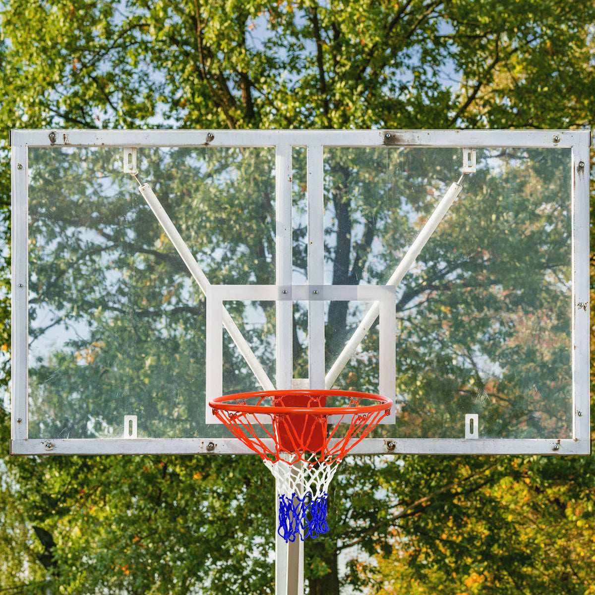 18 Inch Basketball Rim with All-Weather PE Net - Rustproof Metal Frame, Easy Installation - Variation of This Listing: 18 Inch D. PE Net