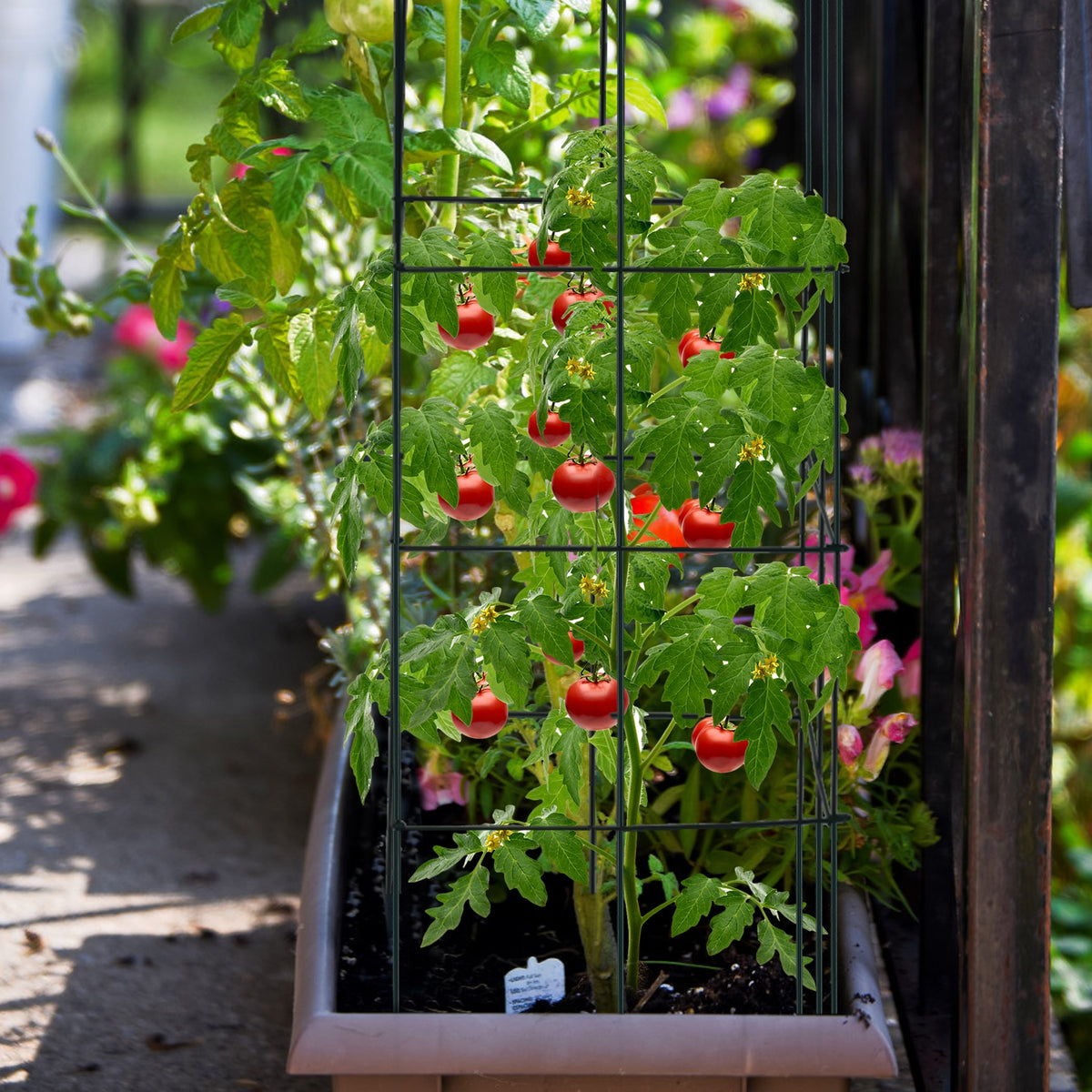 4-Pack Garden Trellis for Climbing Plants – Foldable