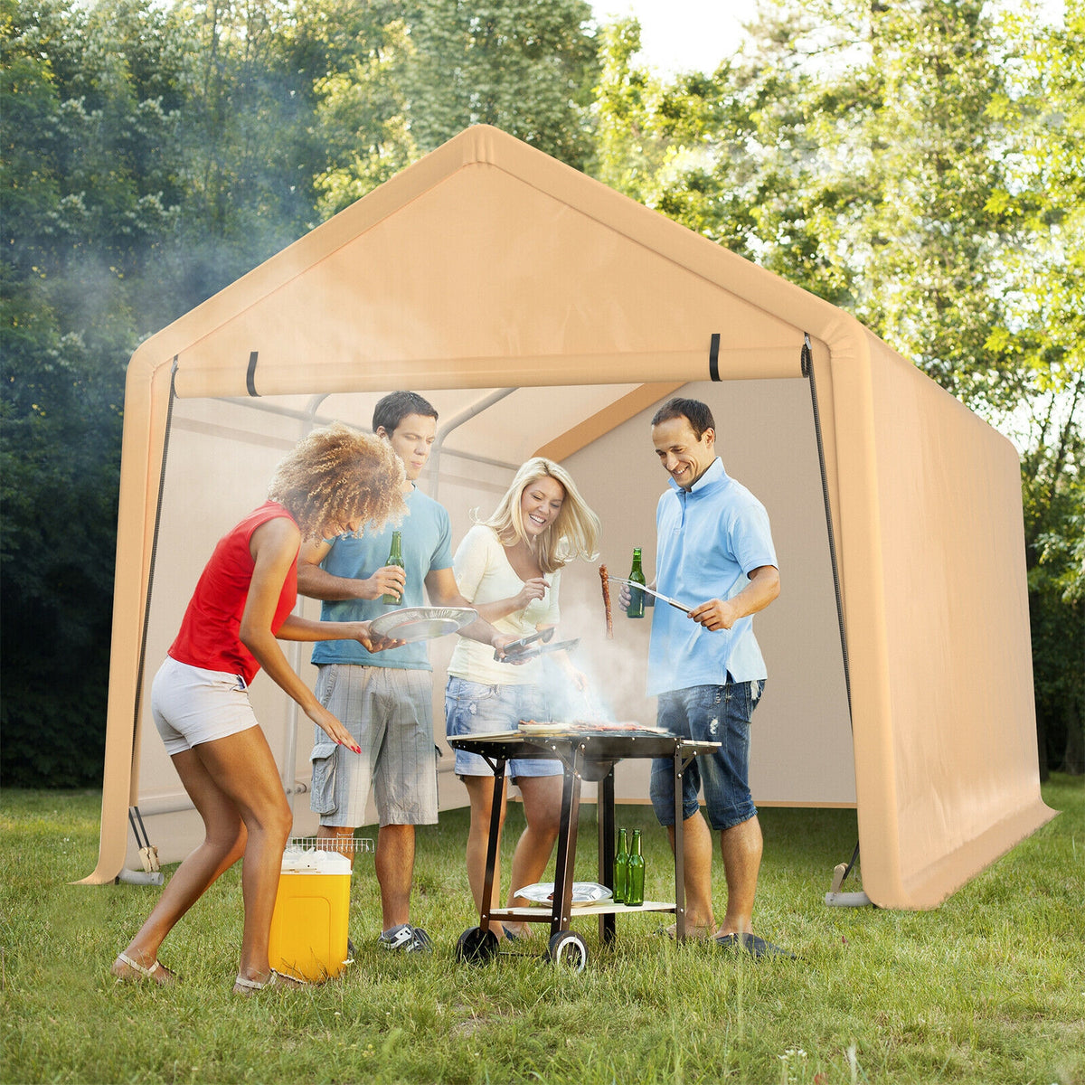 9 x 17 Feet Heavy Duty Carport Canopy