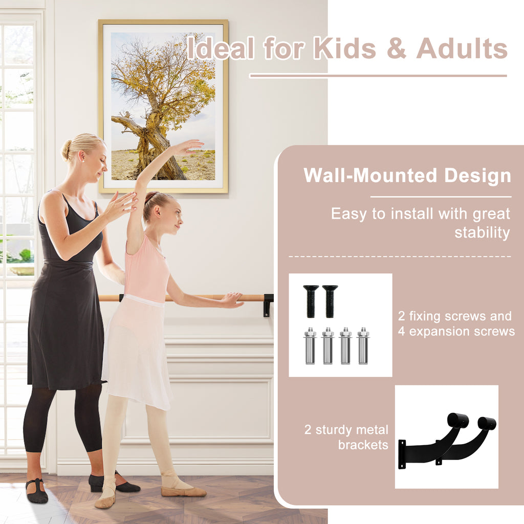 4 Feet Wall-Mounted Ballet Barre for Yoga and Dance - Black Variation