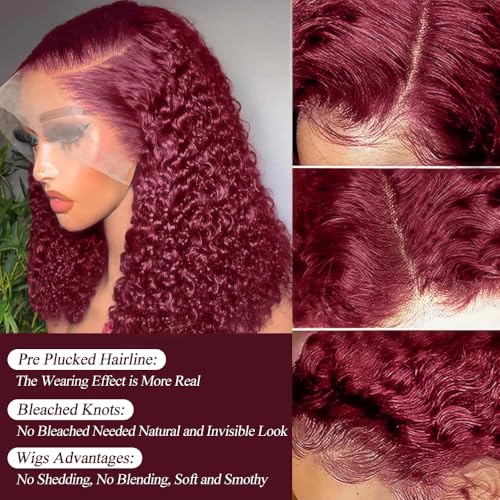Burgundy Wig Human Hair 13x4 Deep Wave Lace Front Wigs Human Hair Pre Plucked 250% Density 99j Burgundy Lace Frontal Wigs Wet and Wavy Curly Wig for Women (18 Inch)