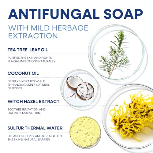 Hermon Antifungal Soap with Tea Tree Oil: Antifungal Bar Soothing Care & Relief of Itchy for Ringworm Jock Itch Tinea Versicolor Athletes Foot - Body & Face Wash (4 Ounce (Pack of 4))