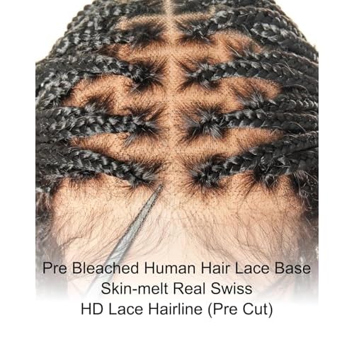 24" Pre-Bleached Human Hair Lace Base HD Full Lace Knotless Box Braided Wig ? Swiss Lace, Lightweight with Human Baby Hair, 100 Strands, Ombre Brown