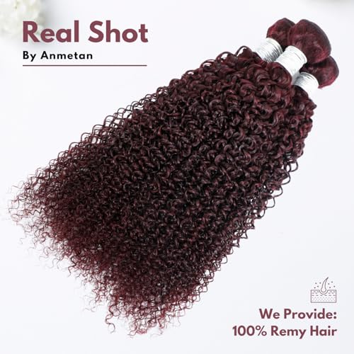 12A #99J Kinky Curly Human Hair Bundles, 100% Unprocessed Remy Human Hair Dark Burgundy Red Wine Colored Tight S-shaped Culry Thick and Soft Bundles Sew in Weave 12/14/16 Inch