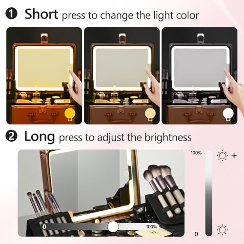 Makeup Case with Lighted Mirror, Makeup Box Organizer with Detachable LED Mirror, Travel Makeup Train Case, Waterproof Cosmetic Organizer, Standing Brush Holder, Gift, Rose Gold