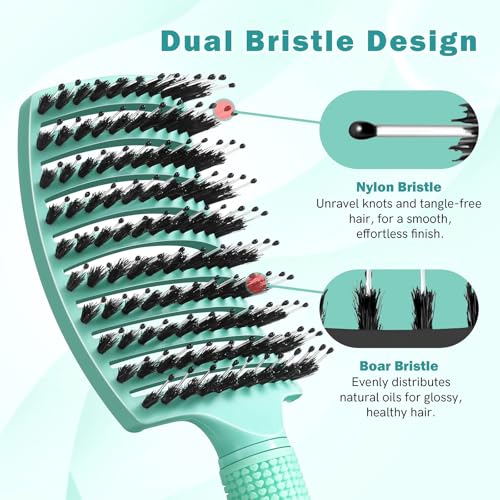 Curved Detangler Brush for Women Kid Men, 2 Pack Boar Bristle Vented Hair Brush Set with Clips for Fine Thick Hair Smoothing, Detangling, Faster Blow Drying