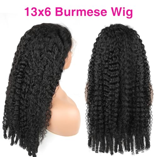 CHEETAHBEAUTY 13x6 HD Transparent Burmese Curly Wig Human Hair 250% Density Curly Lace Front Wigs Human Hair Pre Plucked with Baby Hair Virgin Human Hair Wigs for Women 20Inch