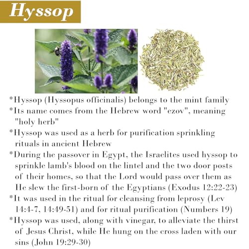 Cleanse Me With Hyssop Natural Hair and Body Wash, Organic Hyssop Infused Shampoo and Body Wash for Nourishing and Refreshing Hair & Body Cleansing (Myrrh and Frankincense)