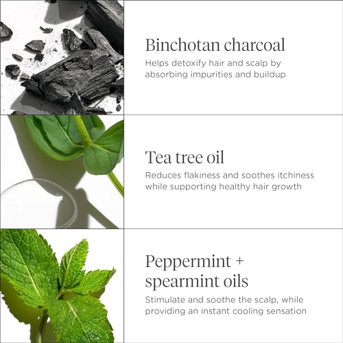 Briogeo Scalp Revival Charcoal + Tea Tree Scalp Treatment, Scalp Serum to Soothe a Dry, Flaky, Itchy Scalp, Absorb Oil, Hydrate Dry Scalp, Clarify Build Up, Vegan, Cruelty-Free, 1 fl oz