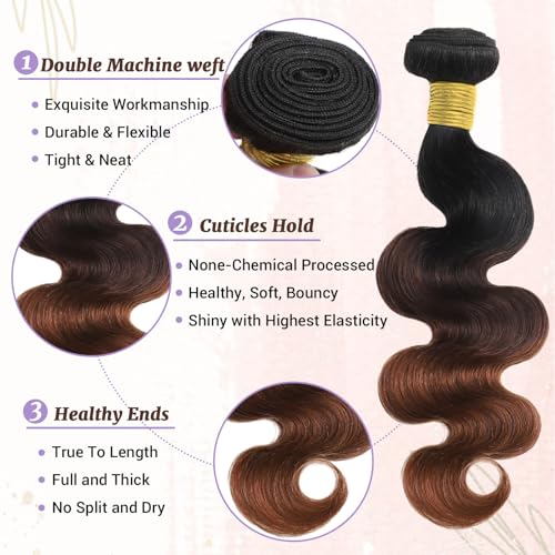 T1B/2/30 Chestnut Brown Ombre Human Hair Bundles Body Wave 100% Real Virgin Human Hair Bundles 20 22 24 Inch Dark Roots Bundle 3 Tone Ombre Medium Auburn Colored Sew in Quick Weaves