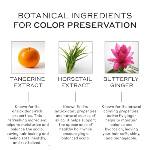 ZENAGEN Eclipse Color Preservation + Gray Support Shampoo | Enhances Hair Color Vibrancy, Reduces Gray Appearance, Nourishes & Strengthens Aging Hair, Plant-Based, Color-Safe, 473 mL / 16 oz
