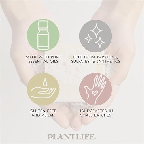 Plantlife Himalayan Rose 6-Pack Bar Soap - Moisturizing and Soothing Soap for Your Skin - Hand Crafted Using Plant-Based Ingredients - Made in California 4 oz Bar