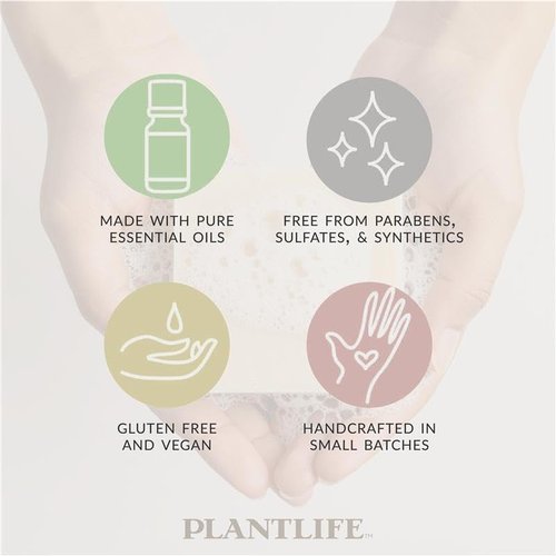 Plantlife Vegan Hemp 6-Pack Soap Bar - Moisturizing and Soothing Soap for Your Skin - Hand Crafted Using Plant-Based Ingredients - Made in California 4.5oz Bar