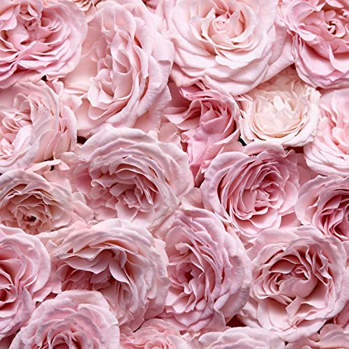 Escada Especially Eau De Parfum ? Women's Floral Perfume ? With Notes of Rose Petals & Pear ? Long Lasting Fragrance