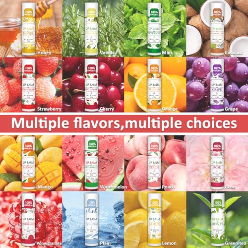 32 Pack Lip Balm, Natural Lip Balm Bulk with Vitamin E and Coconut Oil, Bulk Lip Balms for Dry Lips-16 Flavors