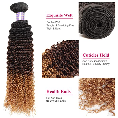Allove Hair Ombre Human Hair Bundles Kinky Curly Bundles 3 Bundles (16 18 20inch) 12A Brazilian 3 Tone Ombre Color Curly Virgin Remy Human Hair Bundles Weave T1B/4/27