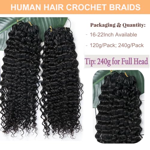 Crochet Human Hair Extensions Water Wave Pre-Separated Curly Crochet Hair Extensions Invisible Micro Loop Crochet Hair Knotless Feather Crochet Human Hair 18inch 120g