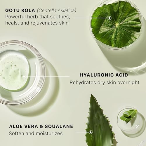 Hyaluronic Acid Moisturizer for Face - USA Made with Organic & Natural Ingredients, Hydrating Anti Aging Face Moisturizer for Dry Skin with Glycerin & Vitamin E, Unscented Anti Wrinkle Cream