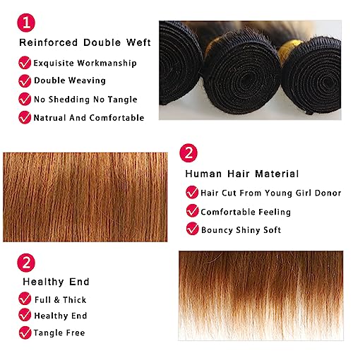 Straight Human Hair Bundles with Frontal Ombre Brown T1B/30 Color Lace Frontal Closure With Bundles (16 18 20+12 Frontal,242g) Remy 100% Human Hair Weave With Frontal for Black Women