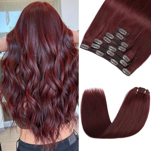Clip in Hair Extensions Real Human Hair - 170g 22 Inch 7pcs, Burgundy Red Color - Premium Soft Human Hair Clip in Extensions Straight Double Weft for Women (#99J 22 Inch)